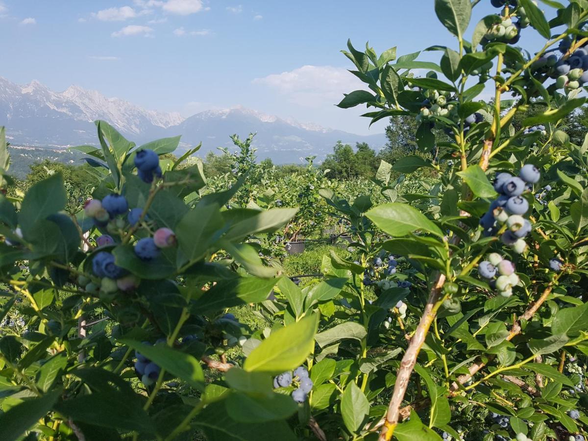 Agriturismo La Giasena Понте-нелле-Альпи Экстерьер фото